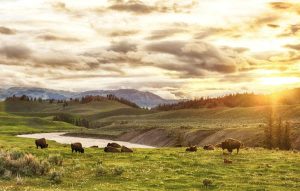 Read more about the article Best day trips from Bozeman