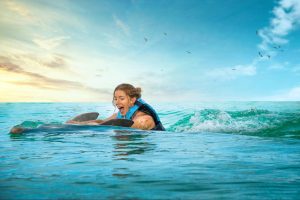 Read more about the article Dolphin Cove: A Perfect Destination for Family Fun