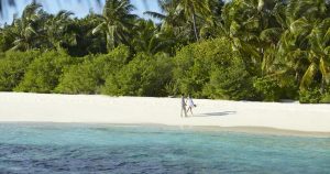 Read more about the article Dusit Thani Maldives Wins TripAdvisor Travellers’ Choice Award 2024