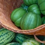 Harvesting Freshness from Soil to Table at Cinnamon Dhonveli Maldives