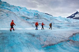 Read more about the article Learn all about Antarctica tours in this ultimate guide