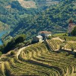 The Douro Valley: a first-time guide