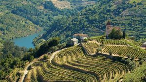 Read more about the article The Douro Valley: a first-time guide