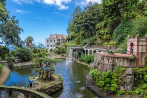 Read more about the article 10 best things to do in Madeira