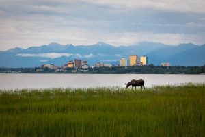 Read more about the article Exploring Anchorage on a budget