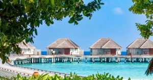 Read more about the article Dusit Thani Maldives Celebrates Culinary Excellence at Chef Symposium 2024