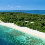 Disco Fever Hits Amilla Maldives: A 70’s Throwback Festive Season Hits Am…