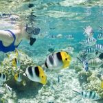 Bora Bora: best things to do