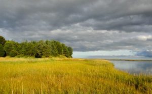 Read more about the article The 13 best hikes in New England