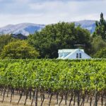 The Machchafushi universe: a living world above and below the water