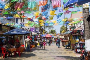 Read more about the article The 10 best things to do in Tijuana