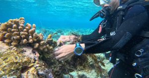 Read more about the article Cinnamon Hotels & Resorts Maldives unites for Earth Day 2025 with action-fo…