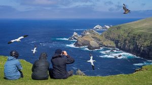 Read more about the article The 8 best wildlife experiences in Scotland’s Highlands