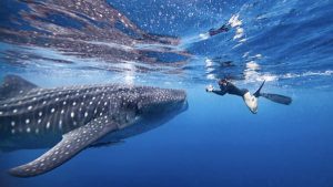 Read more about the article Mexico: best outdoor experiences