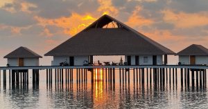 Read more about the article A taste of elegance at Marlin by Cinnamon Velifushi Maldives