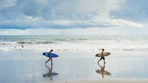 Read more about the article Bali: top things to do