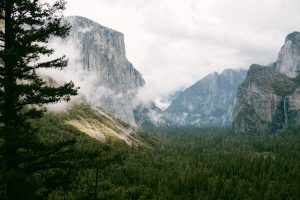 Read more about the article 40 dos and don’ts for US national parks