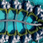 Gallop into Lunar New Year 2026 at Kandooma Maldives