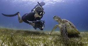 Read more about the article Escape to the Maldives This Eid and Summer: Where Family Fun Meets Island B…