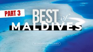 Read more about the article Maldives Travel Highlights Video – Hidden Gems
