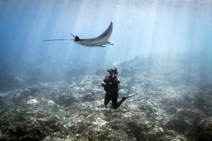 Read more about the article Diving & Snorkeling at Gili Lankanfushi Maldives – What to Know