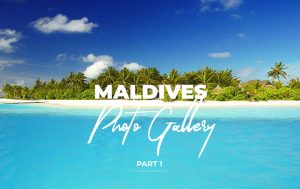 Read more about the article Maldives Photo Gallery. 80 Beautiful Photos of the Maldives Islands