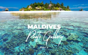 Read more about the article Maldives Photography Collection – Final Gallery Part 3