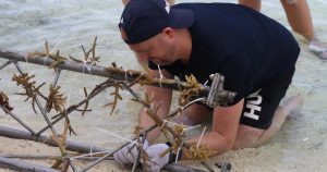 Read more about the article From coral planting to growing trees and driving conservation, Cinnamon Hot…