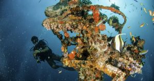 Read more about the article Consistently Awarded, Beyond Compare: The House Reef at Machchafushi Island…