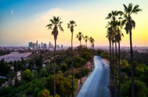 Read more about the article 5 Ways to Make Your First Trip to LA Unforgettable