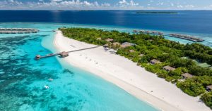 Read more about the article Noku Maldives Partners with Atoll Marine Conservation Centre for World Ocea…