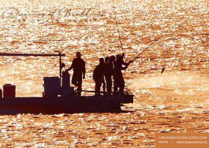 Read more about the article Maldives Traditional Fishing : A Deeply Rooted Island Heritage