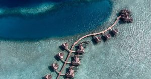 Read more about the article A Cellar of Quiet Distinction: Vakkaru Reserve Earns Fifth Wine Spectator A…