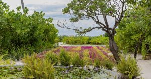 Read more about the article A new chapter in sustainability blooms at Cinnamon Velifushi Maldives with …