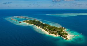 Read more about the article A Dreamlike Holiday Season with THE OZEN COLLECTION