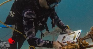 Read more about the article Sun Siyam Olhuveli Welcomes Myles Murphy as New Marine Biologist