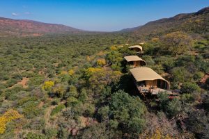 Read more about the article South Africa Glamping: Fe & Far