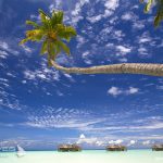 Arabian Travel Market 2026 Rescheduled to September