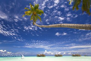 Read more about the article Gili lankanfushi Maldives Review | The Dreamy Resorts Collection