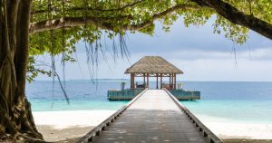 Read more about the article Season of Healing at Amilla Maldives: Visiting Practitioners Shyam and Katt…