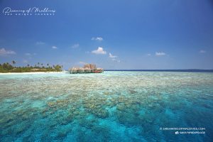 Read more about the article Diving & Snorkeling at Anantara Kihavah Maldives – Dream Guide