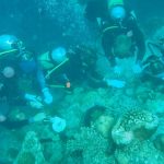 Milaidhoo Maldives marks Global Wellness Day 2026 with “Joy” and a day …