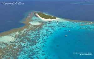Read more about the article Mirihi Island Resort Reopening under Accor
